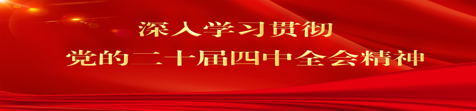 深入学习贯彻  党的二十届四中全会精神