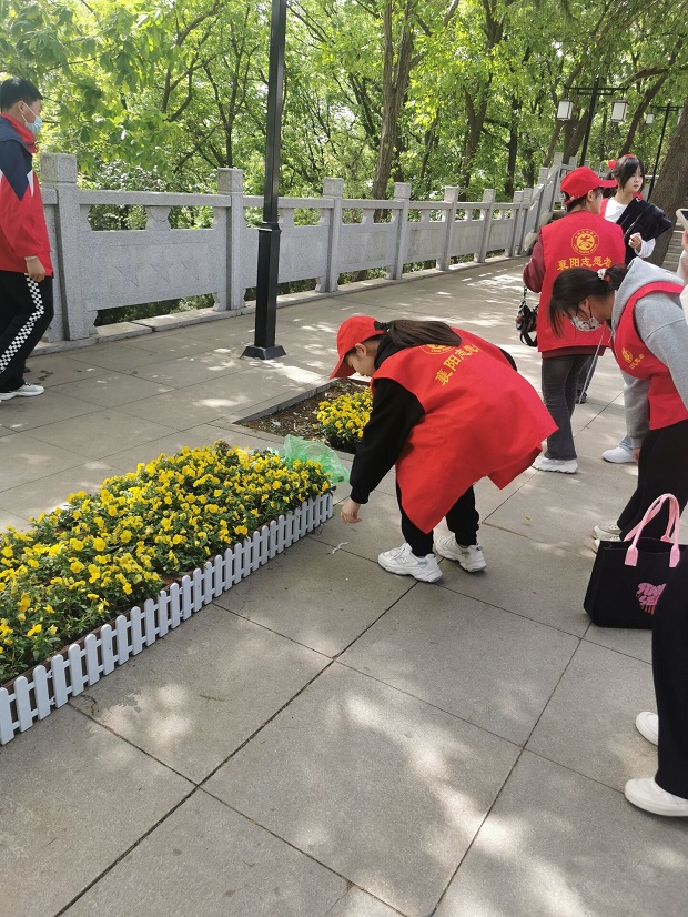 照片3
