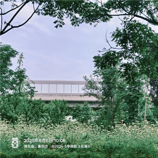 G2405+李佶航+《花海》